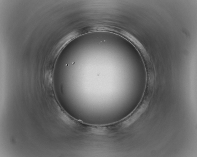 X0000115500809200911061326