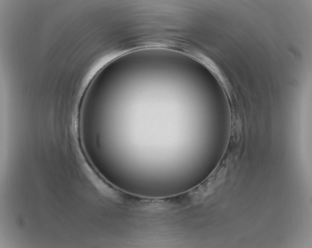 X0000115500811200911061326