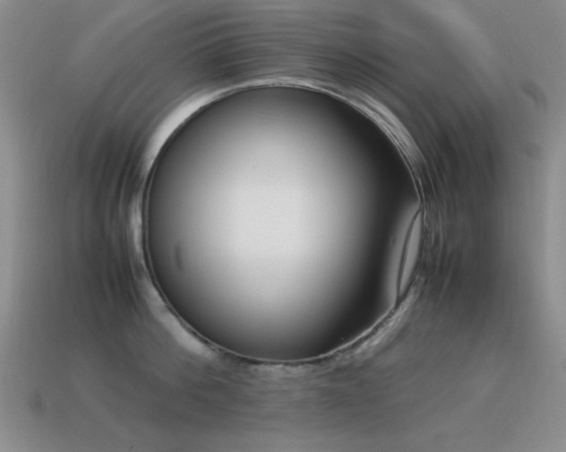 X0000115500812200911061326
