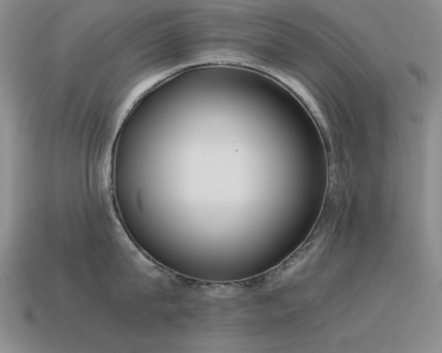 X0000115500815200911061326