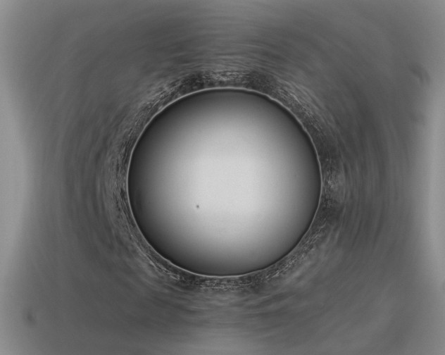 X0000115500817200911061325