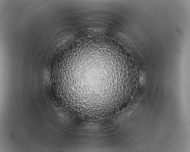 X0000115500819200911061325