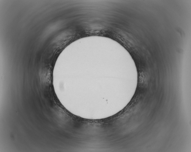 X0000115500820200911061325