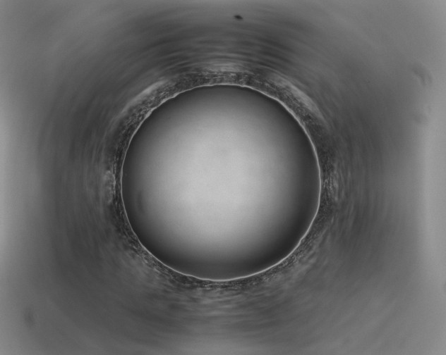 X0000115500821200911061325
