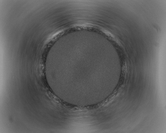 X0000115500822200911061325