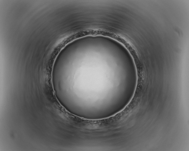 X0000115500823200911061325