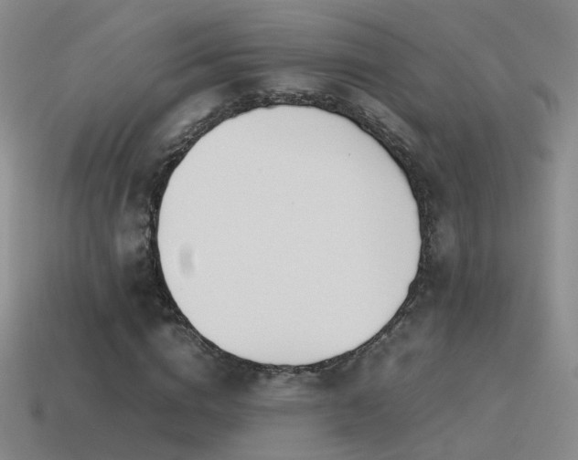 X0000115500824200911061325