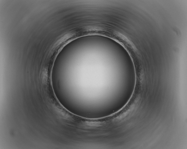 X0000115500825200911061325