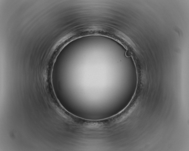 X0000115500826200911061325