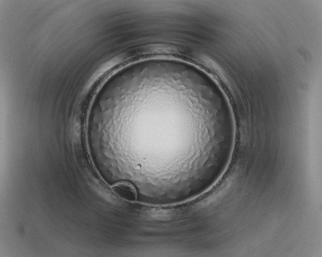 X0000115500827200911061325