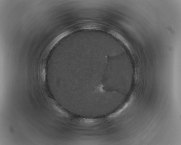 X0000115500829200911061325