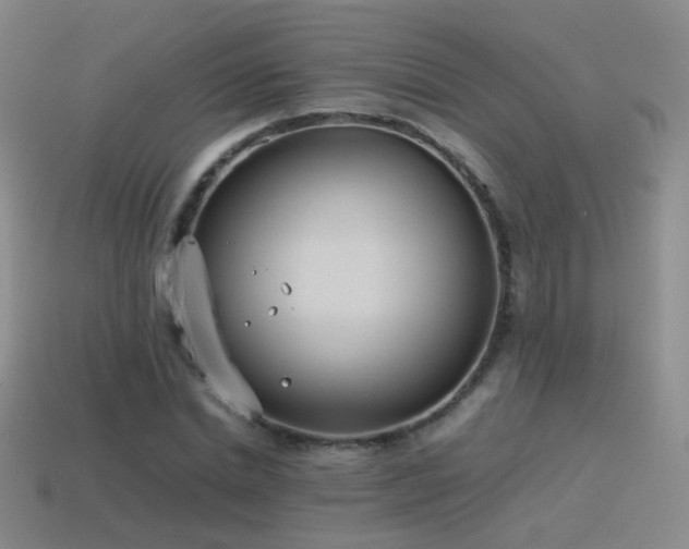 X0000115500830200911061325