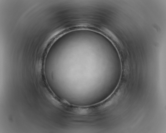 X0000115500831200911061325
