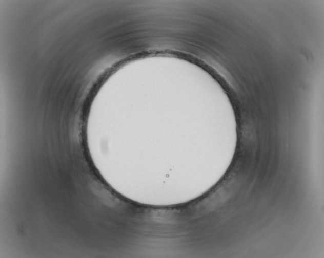 X0000115500832200911061326