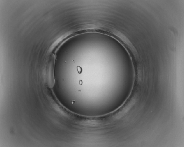 X0000115500834200911061326