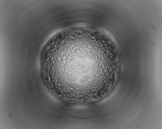 X0000115500835200911061326