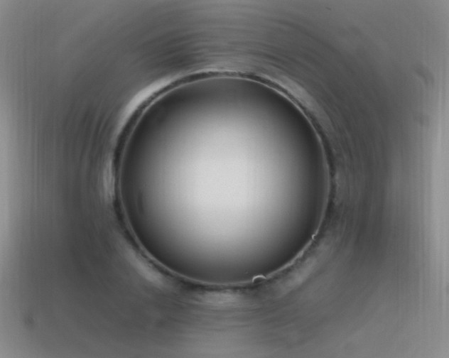 X0000115500838200911061326
