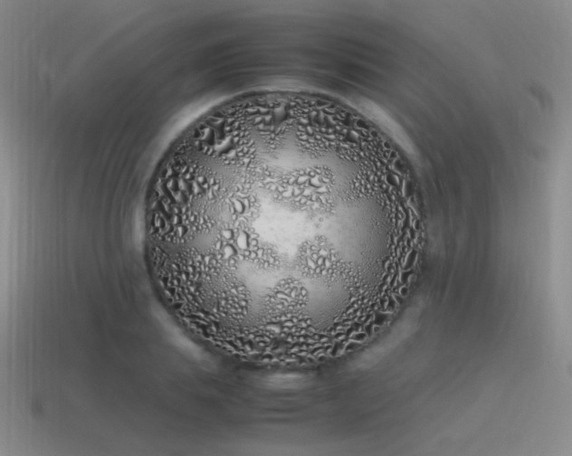 X0000115500839200911061326