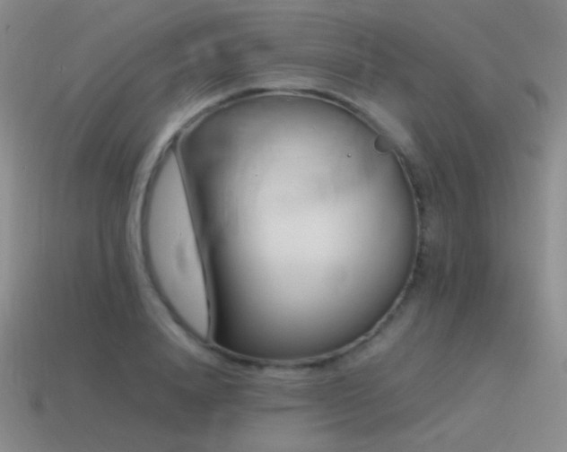 X0000115500840200911061326