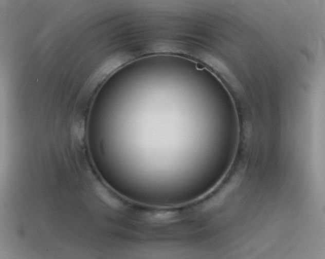 X0000115500841200911061326