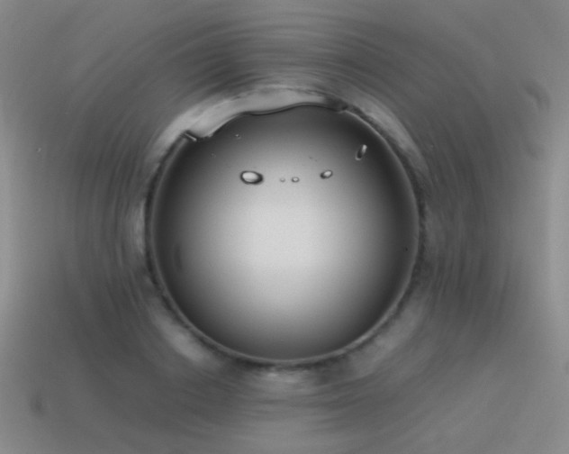 X0000115500842200911061326