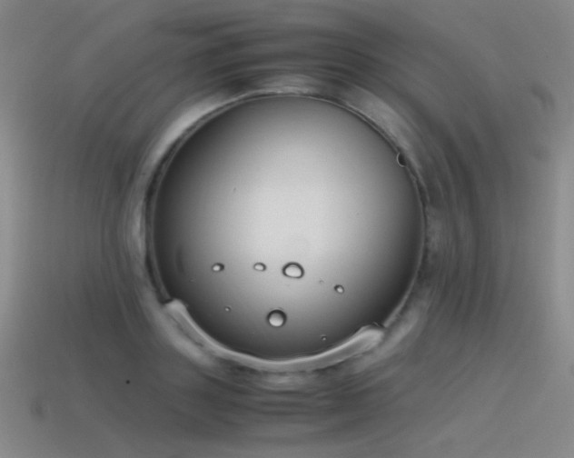 X0000115500843200911061326