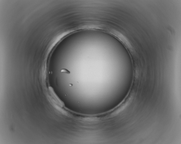 X0000115500844200911061326