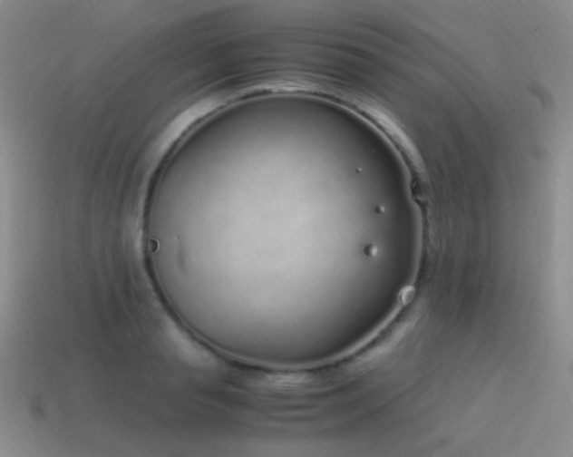 X0000115500845200911061326