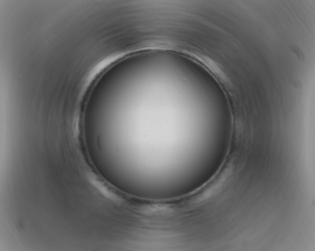 X0000115500846200911061326