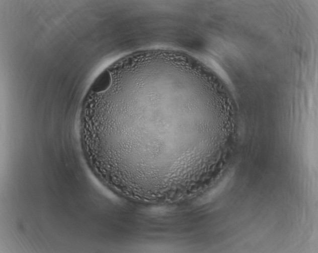 X0000115500847200911061326