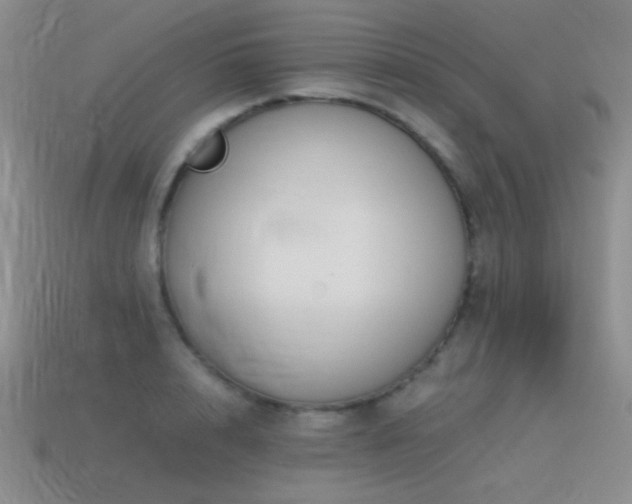 X0000115500848200911061326