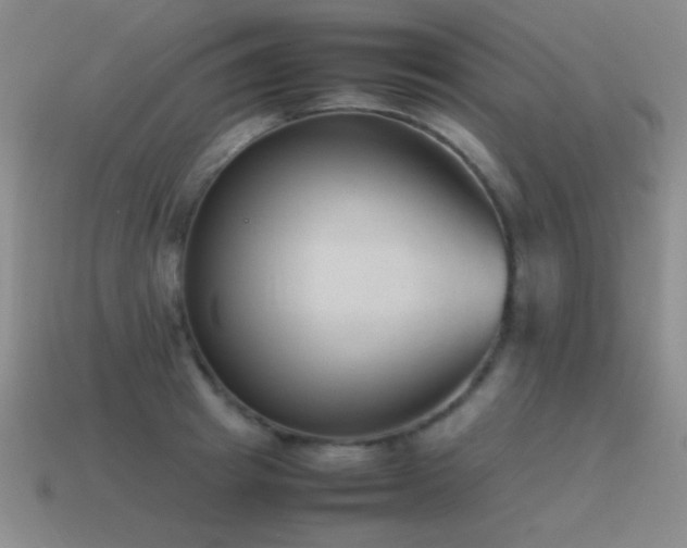 X0000115500849200911061326