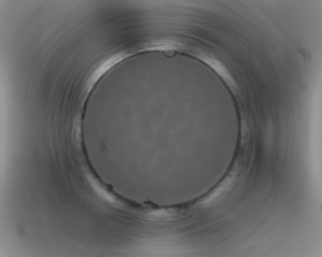 X0000115500850200911061326