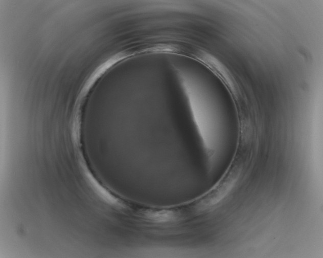 X0000115500851200911061326