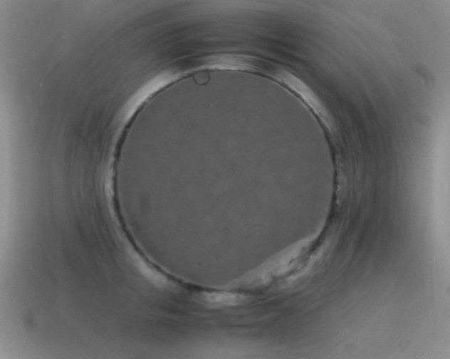 X0000115500853200911061326