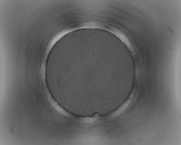 X0000115500854200911061326