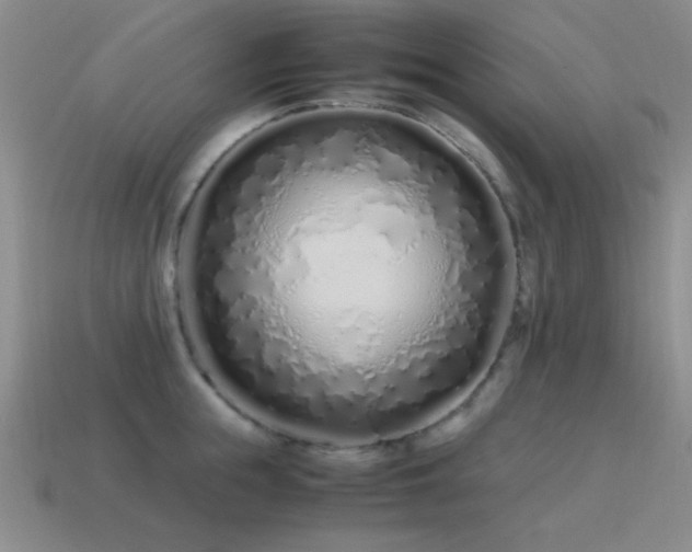 X0000115500855200911061326