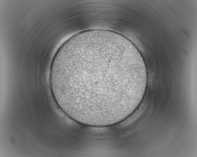 X0000115500856200911061326