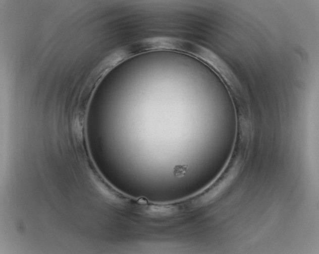 X0000115500857200911061326