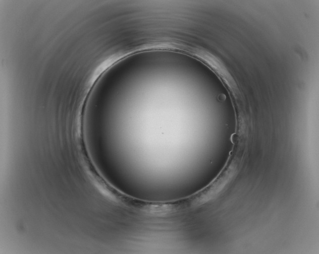 X0000115500858200911061326
