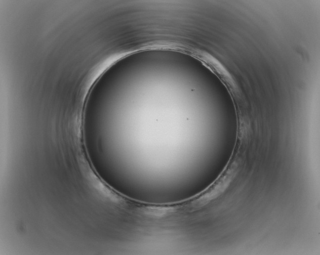 X0000115500860200911061326