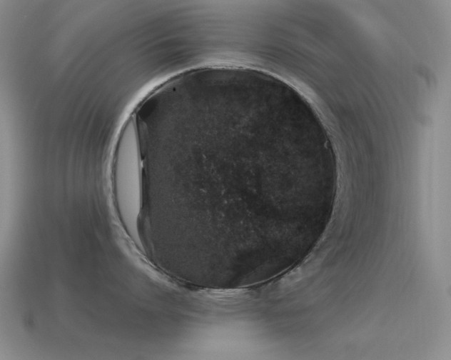 X0000115500864200911061326