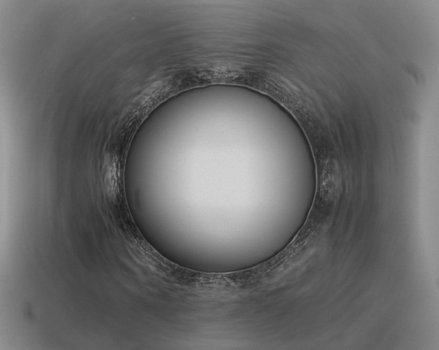X0000115500866200911061325