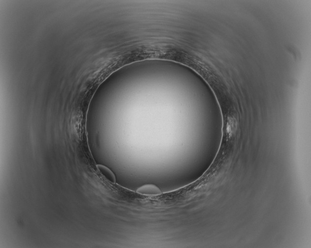 X0000115500867200911061325