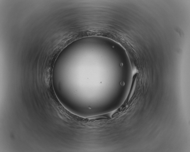 X0000115500868200911061325