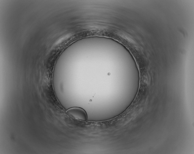 X0000115500869200911061325
