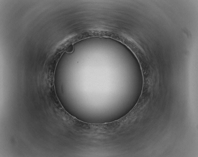 X0000115500870200911061325