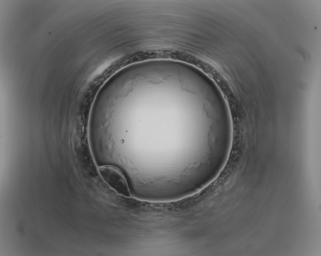X0000115500871200911061325