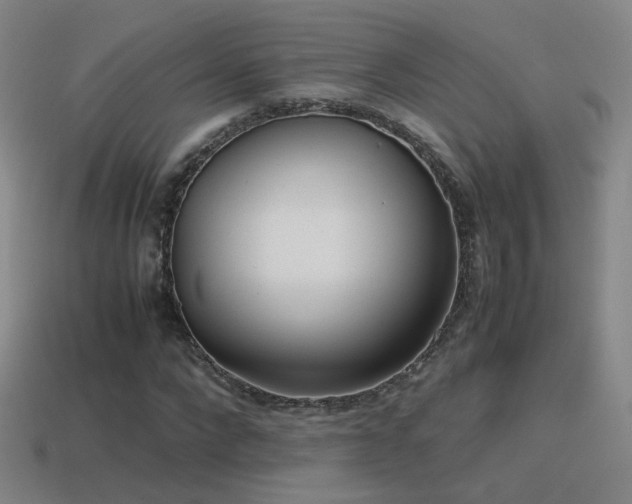 X0000115500872200911061325