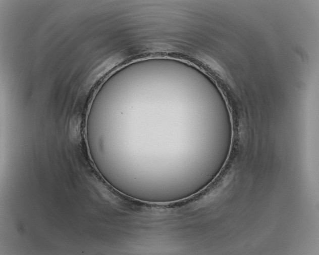 X0000115500873200911061325